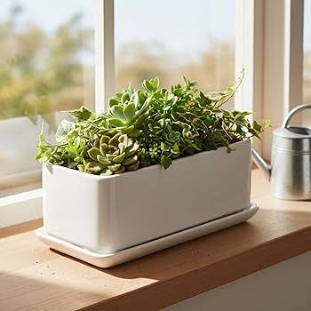 White Window Sill Planter