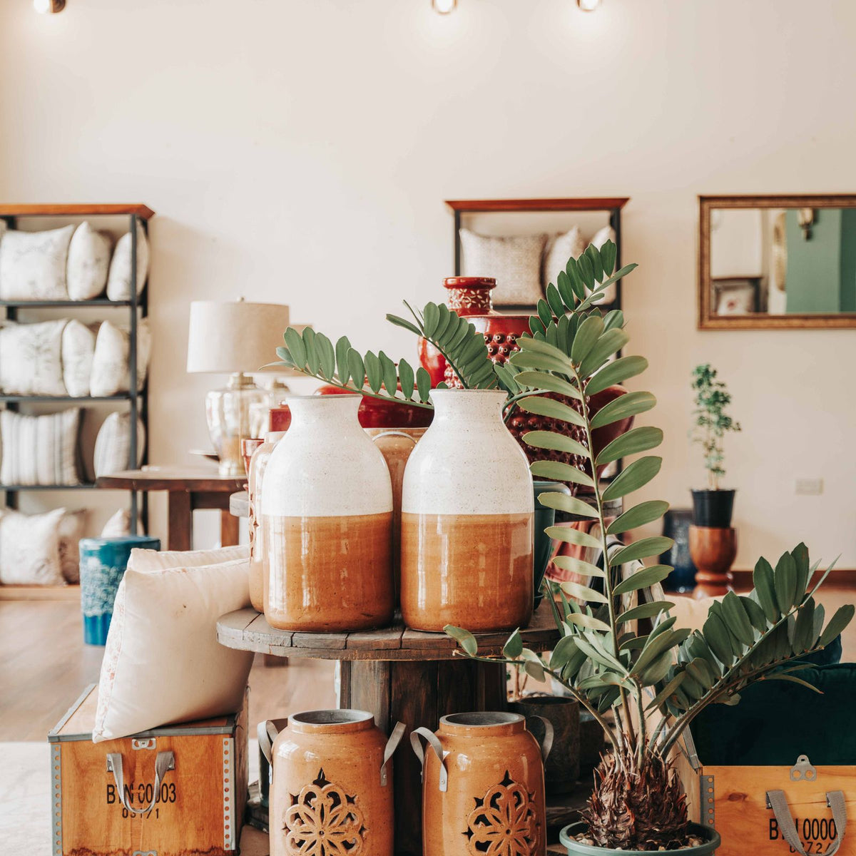 Reference photo for Olive Tree Garden Planter